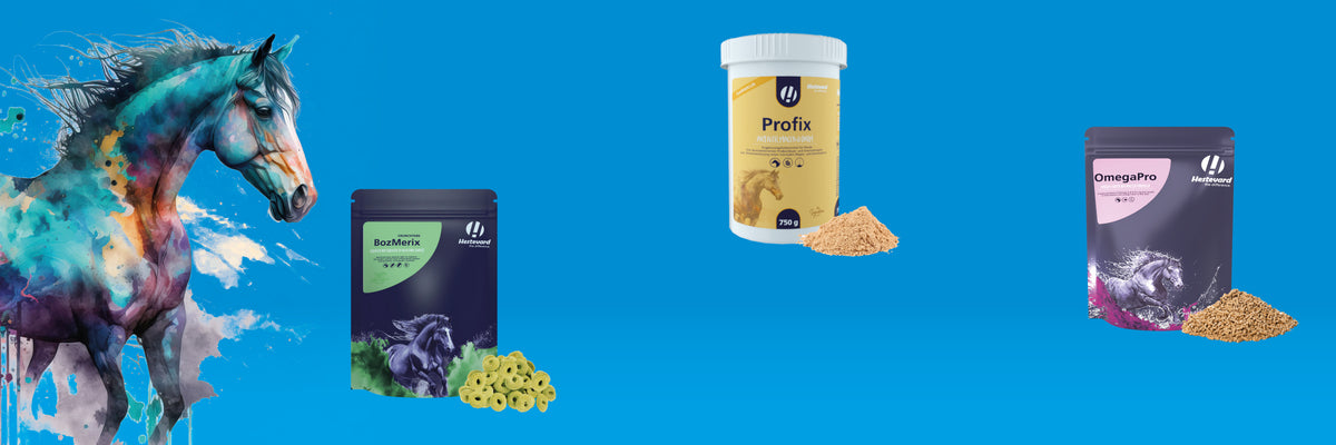 FS Animal Health Group